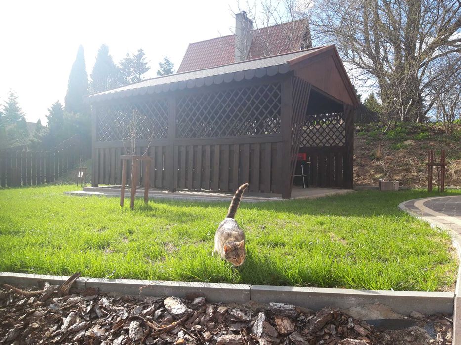 Domek letniskowy, jezioro, Mazury,REZERWACJE 2026!!