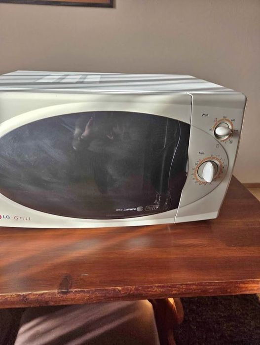 Мікрохвильова піч LG MB-392T