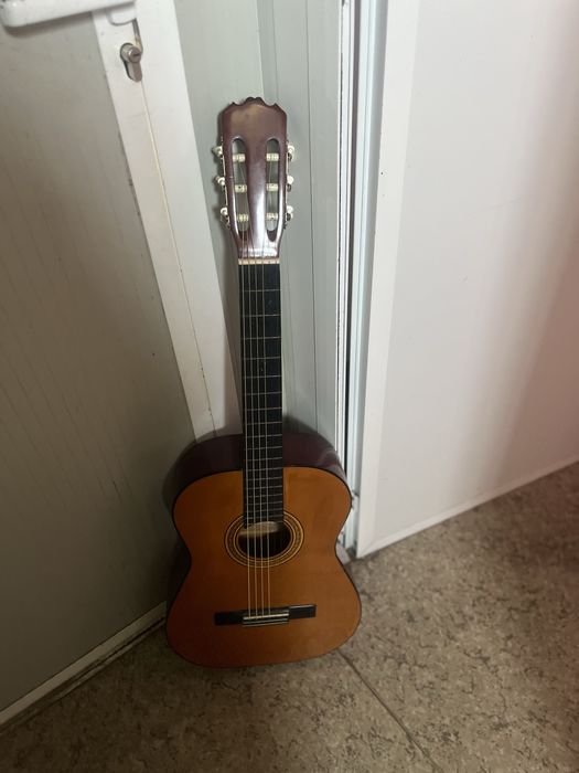 Viola com cordas .