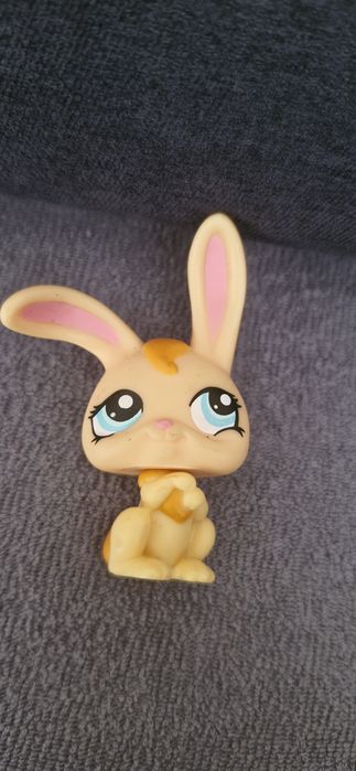 littlest pet shop królik