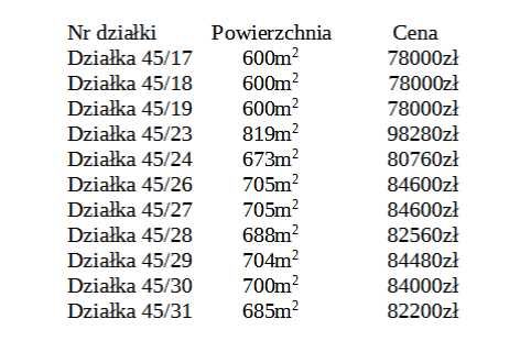 Zdjęcie 5