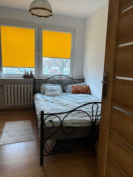 Mieszkanie 2 pokojowe na Zaspie - balkon plus duży ogródek