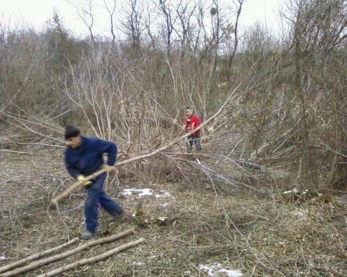 Розчистка ділянок, прибирання територій під ключ