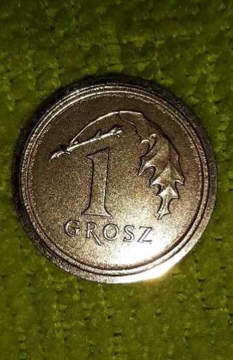 1 grosz 2019 destrukt z obwódką