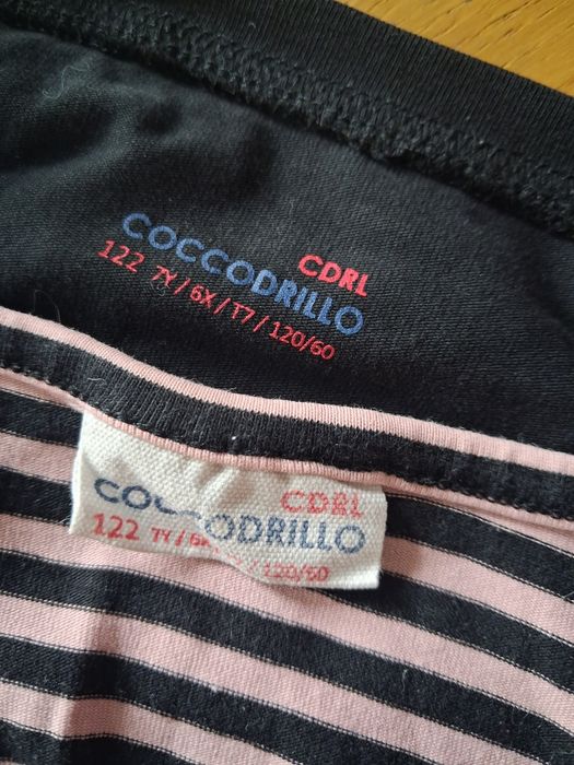 Crop + top Coccodrillo 122