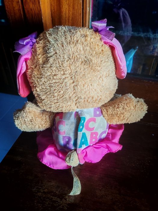 Cachorrinha Fisher Price