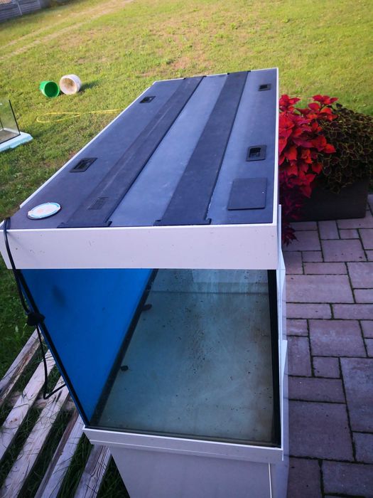 Zrób terrarium z akwarium