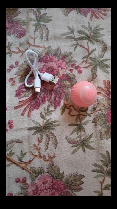Bola para gato interativa