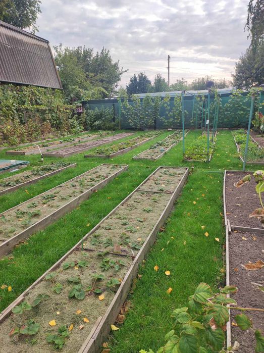 продам дачу общ.Геолог за ПЗТО