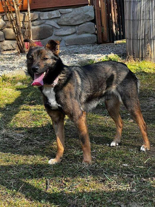 Czy ktoś go pokocha ?