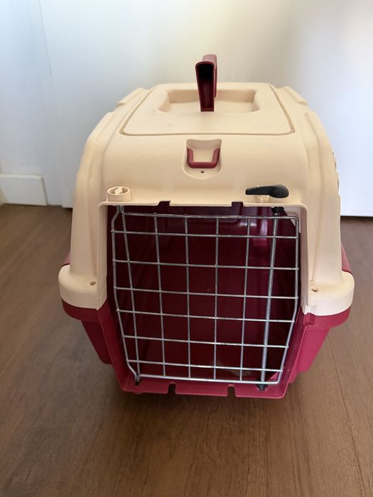 Caixa transporte gatos