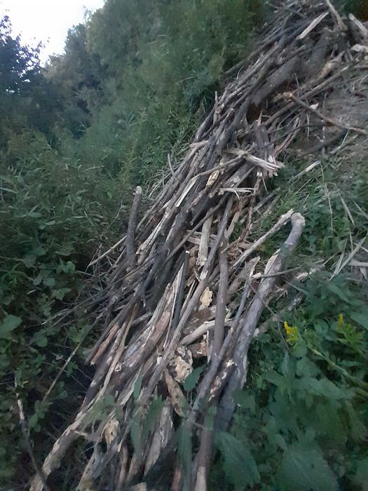 Oddam drewno (gruba gałęziówka) na opał