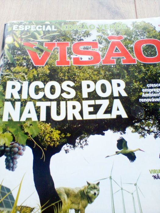 Visão- Edição Verde64283781076099121