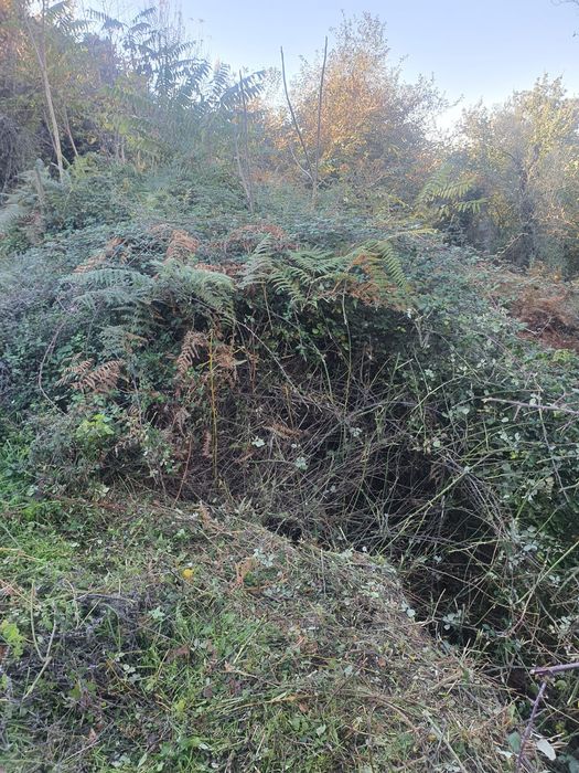 Manutenção dos terrenos