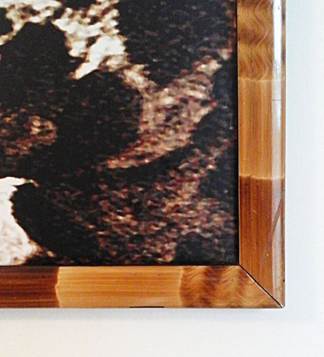 Obraz w ramie, reprint - Cętkowane w harmonii *