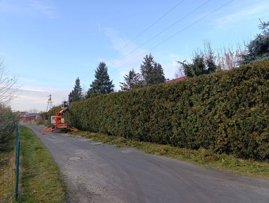 Wycinka drzew Praszka przycinka pielegnacja ogrodów zwyżka rębak