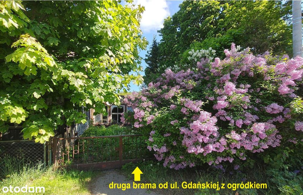 Unikatowy dom z duszą w Jantarze
