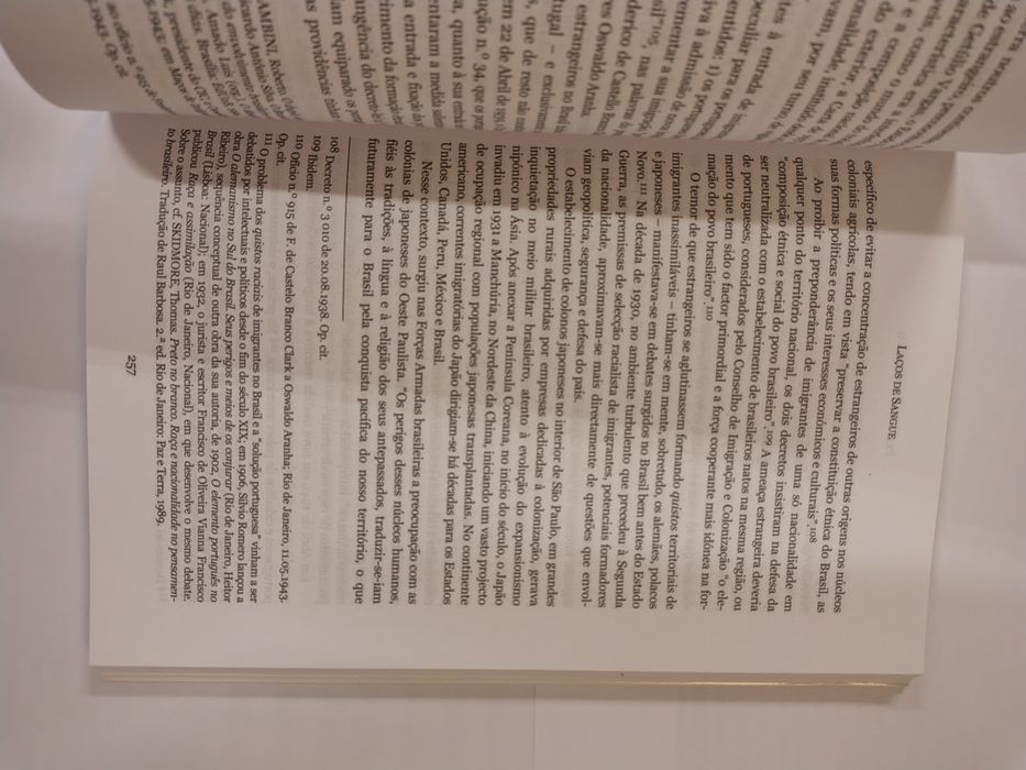 Laços de Sangue, de José Sacchetta Ramos Mendes