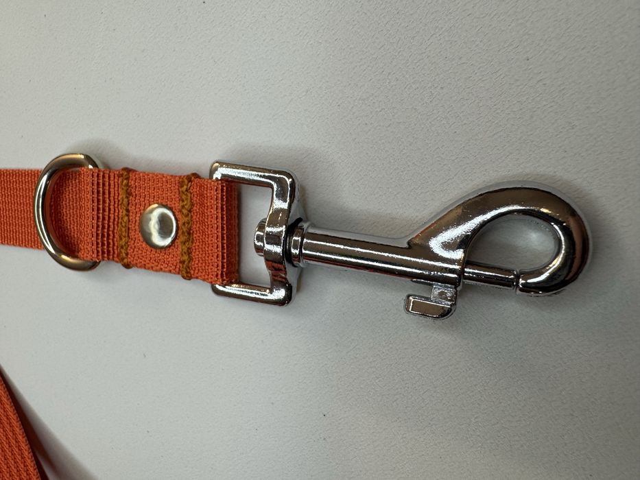 Smycz dla psa 3 metry
