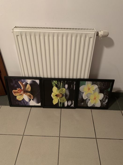 Trzy obrazy dekoracyjne o wym. 30x30 cm każdy