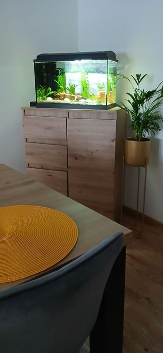 Akwarium 60l z szafka artisan okazja grzałka ryby pokarm filtr