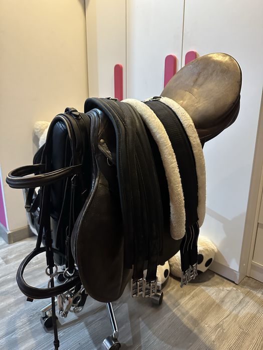 Wspaniały kuc feliński ze sprzętem