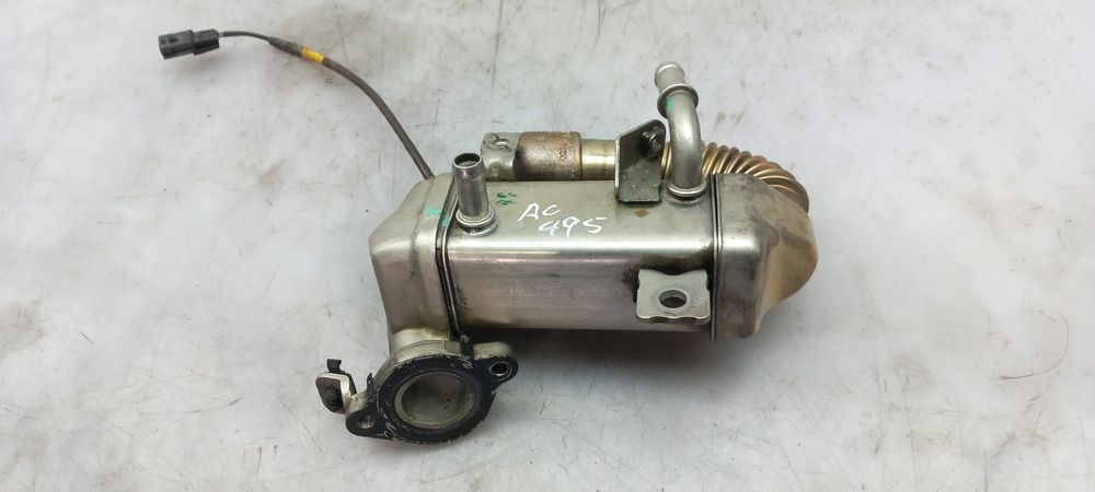 Radiador de gases / EGR NISSAN Qashqai/Qashqai+2 I (J10, JJ10)