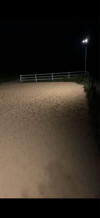 Pesjonat dla koni wolne boksy!!!