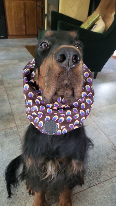 Snoody bawełniane,nauszniki dla psów dlugouchych, spanieli,