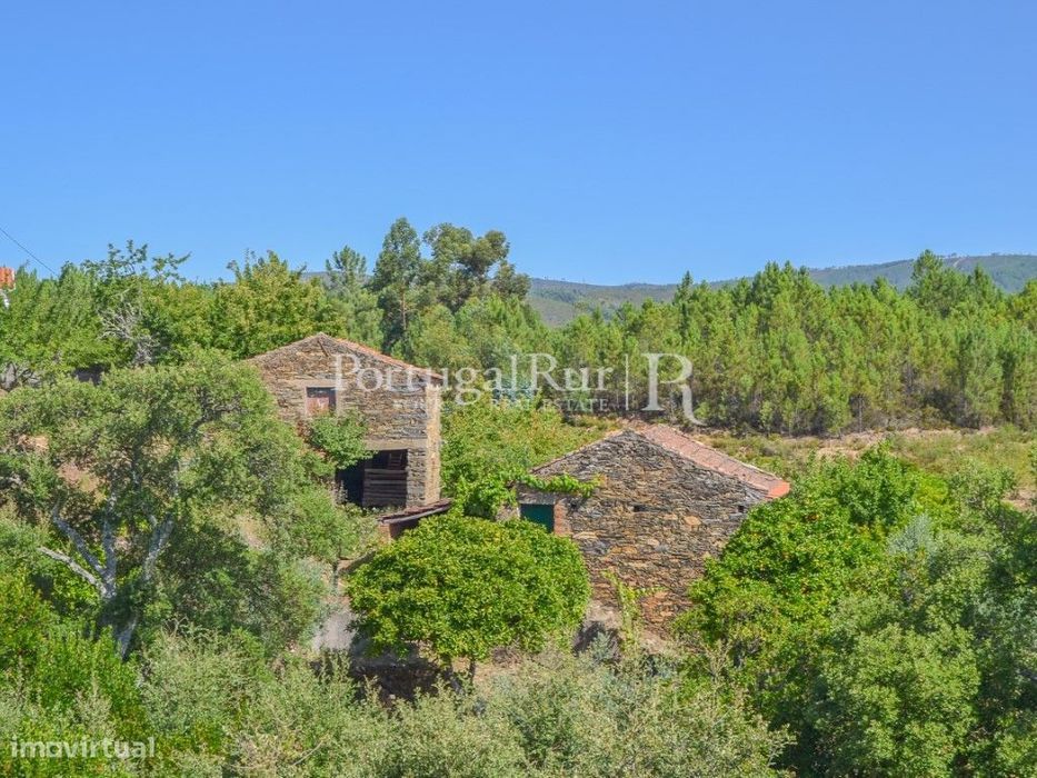 Quintinha com 4 hectares e 2 construções em aldeia da Beira Baixa — Sobreira Formosa E Alvito Da Beira, Castelo Branco