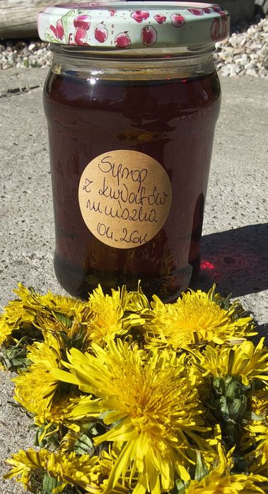 Domowy syrop z mniszka