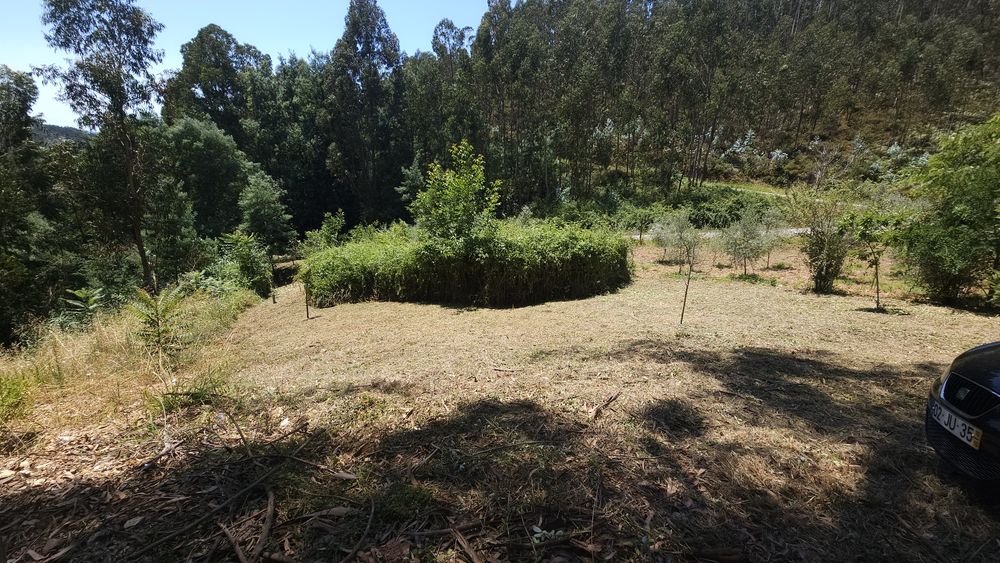 Limpezas de terrenos lavagem de muros e telhados