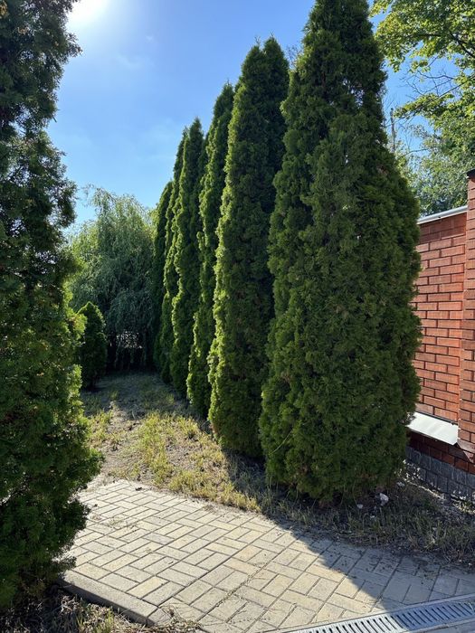 Срочно! Продам два дома, Пушкинская, Центр