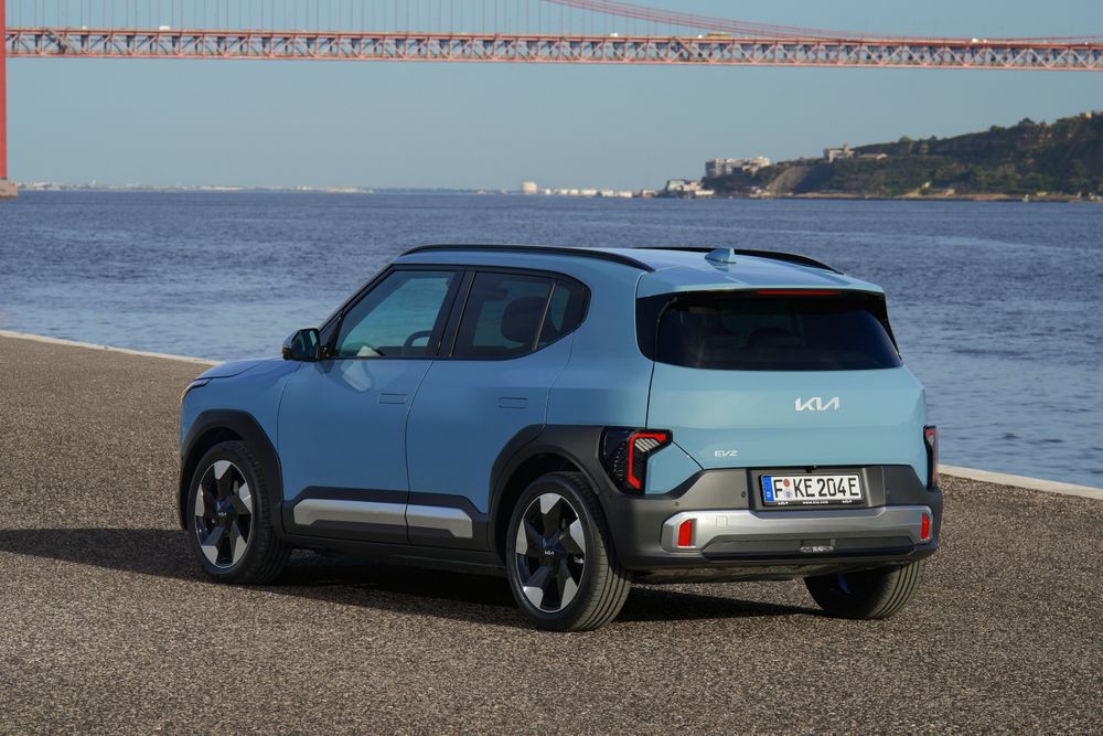 Zdjęcie w galerii numer 3