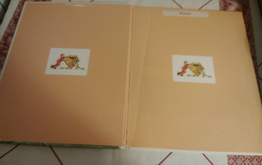 Livro A Grande Invasão Usado