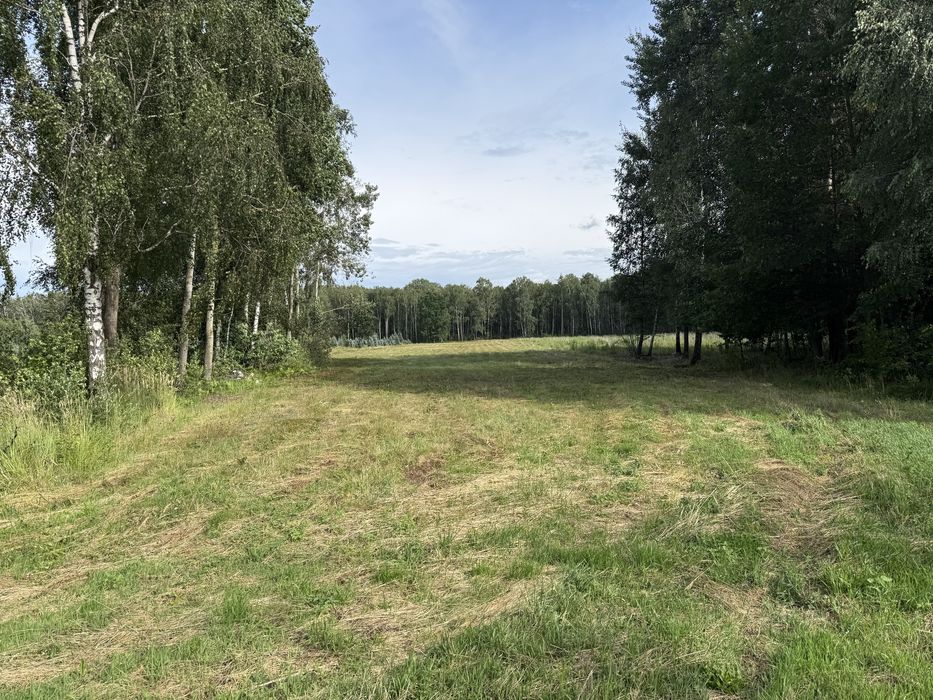 Działka 13 767 m² z domkiem letniskowym – Pruszyn, ul. Łosicka – MPZP, media