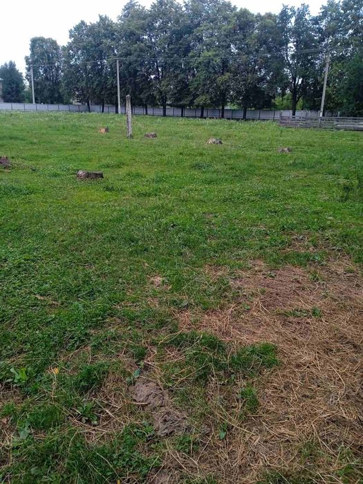 Ферма, готовий бізнес