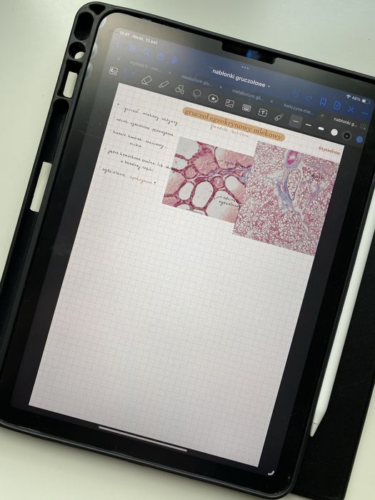 Histologia - notatki z pierwszego roku, dostęp do dysku