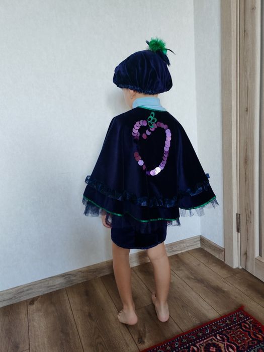 Карнавальний костюм слива, лісовичок