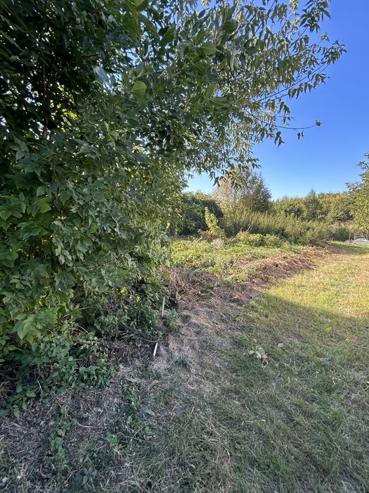 Продаж ділянки в с. Трипілля