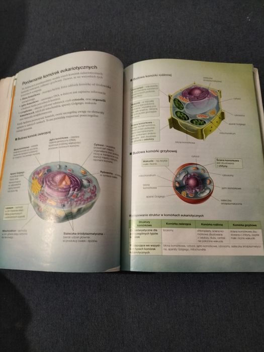 Biologia na czasie 1 zakres podstawowy NowaEra