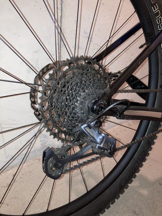 Trek Roscoe 8 2024