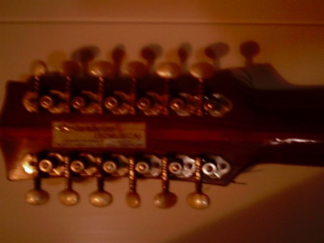 viola acústica de 12 cordas