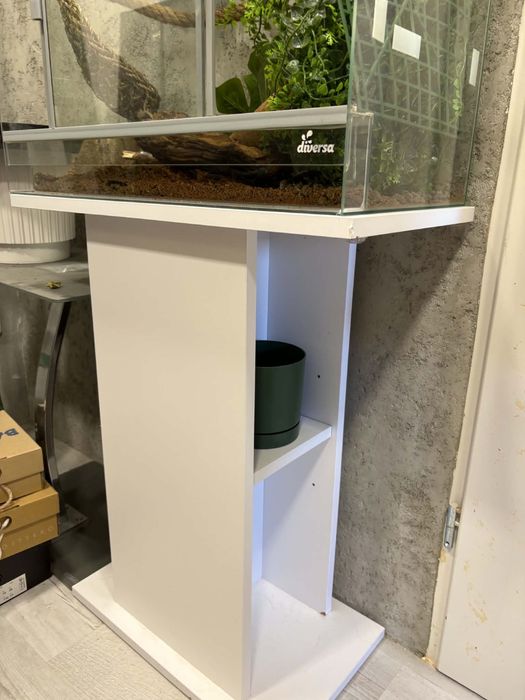 Wyposażone terrarium