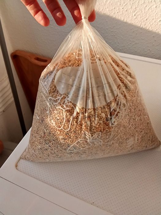 Vendo gaiola 15 euros