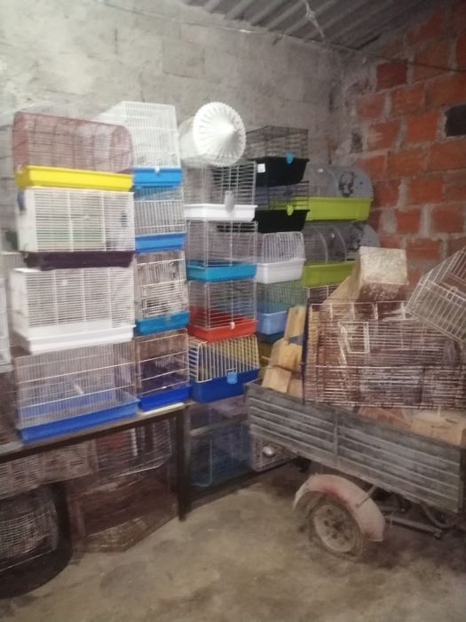 Gaiolas usadas BARATAS
