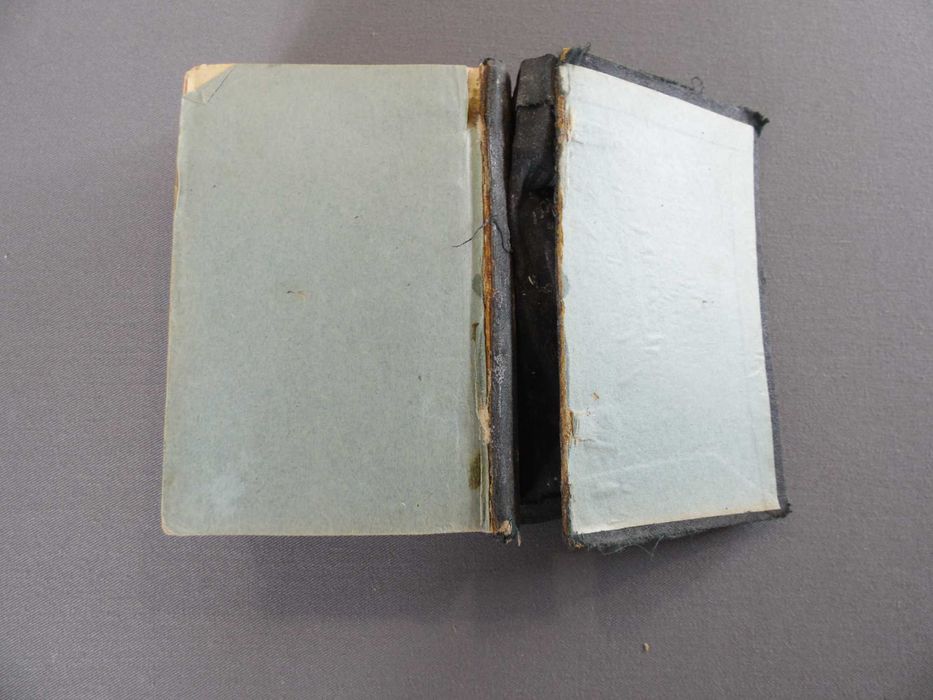 Livro A Alma aos Pés de Jesus, 1899