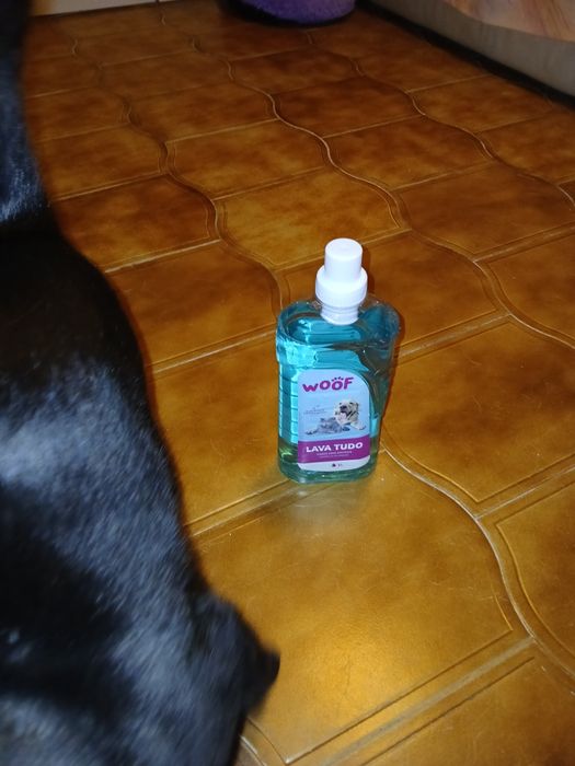Liquido lavar chão infensivo para os animais