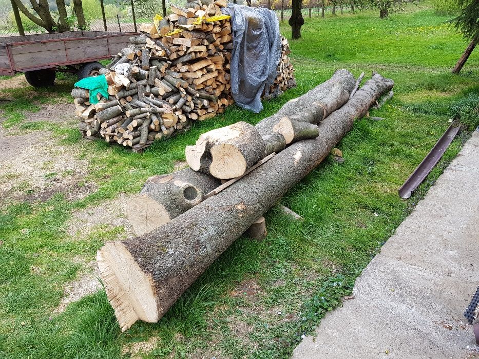 foszty jesionowe - do sprzedaży, wysuszone