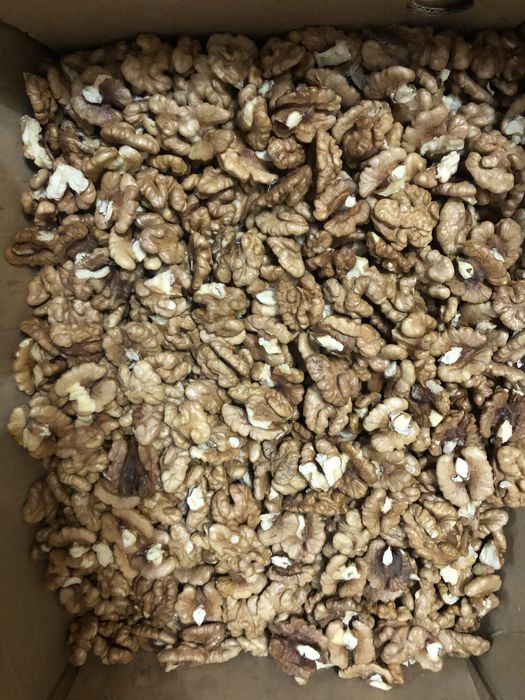 Грецкий орех урожай 2025